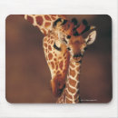 Search for love giraffe electronics Wildlife