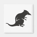 Search for rat magnets Rodent