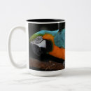 Search for beautiful parrot mugs Macaw