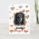 Search for dachsie cards Wiener