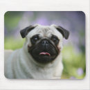 Search for fawn pug mousepads Alert