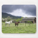 Search for ranching mousepads Usa