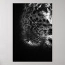 Search for black panther animal posters Jaguar