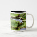 Search for amazon river mugs Tropical