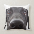 Search for black labrador cushions Animal