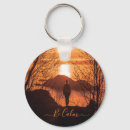 Search for cliffs accessories Sunset