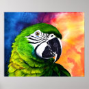 Search for vintage parrot art Tropical birds