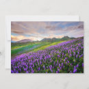 Search for california cards Purple