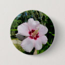 Search for hibiscus badges Pink