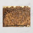 Search for beekeeper postcards Hive