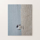 Search for gull puzzles Beach