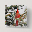 Search for red cardinal bird badges Winter