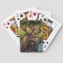 Search for moose playing cards Bull