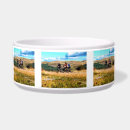 Search for cycle pet supplies Sport