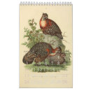 Search for vintage bird calendars Illustration