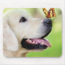 Search for butterfly lover mousepads Dog