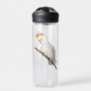Search for parrot water bottles Cute