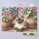 Search for siamese cat crafts party Pink