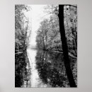 Search for black and white forest posters Nature