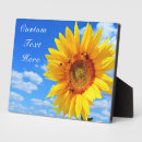 Search for sunflower plaques Nature