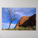 Search for monolithic posters Nature
