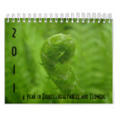 Search for fruit calendars Vegetables