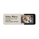Search for two dogs return address labels Puppy