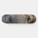 Search for elephant skateboards Africa
