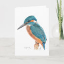 Search for kingfisher cards Nature