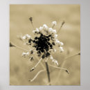 Search for weeding posters White