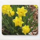 Search for daffodil mousepads Garden