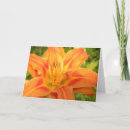 Search for brighten day cards Flower