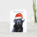 Search for black lab christmas cards Puppy