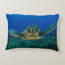 Search for cute turtle cushions Under the sea