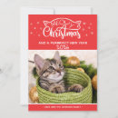 Search for purrfect christmas cards Cat