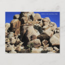 Search for joshua tree national park postcards Rocks