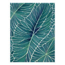 Search for teal green posters Nature