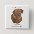 Search for labradors badges Sporting dogs