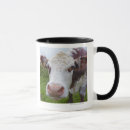 Search for domestic cattle mugs Outdoors
