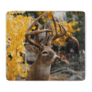 Search for deer cookware Wildlife