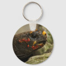 Search for foot key rings Turtle