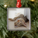 Search for tabby cat christmas tree decorations Kitten
