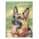 Search for german notebooks Panting