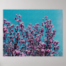 Search for vintage magnolia posters Nature
