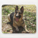 Search for german shepherd mousepads Animal