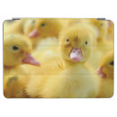 Search for duck ipad cases cute