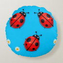 Search for ladybird cushions Insects