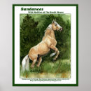 Search for stallions posters Wild