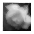 Search for black and white roses tiles Botanical