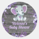 Search for plate stickers Purple